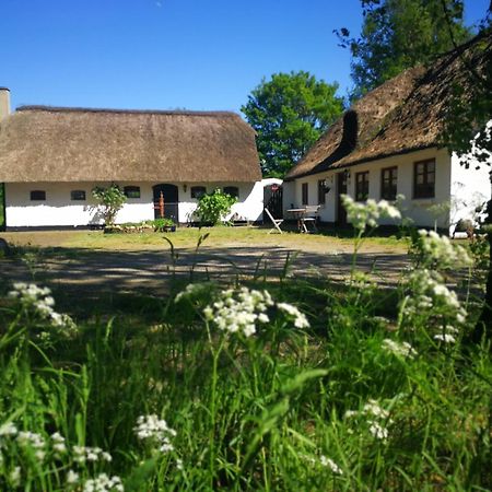 Gemuetliches Reetdachhaus Mit Kaminofen Hostel Ribe Kültér fotó