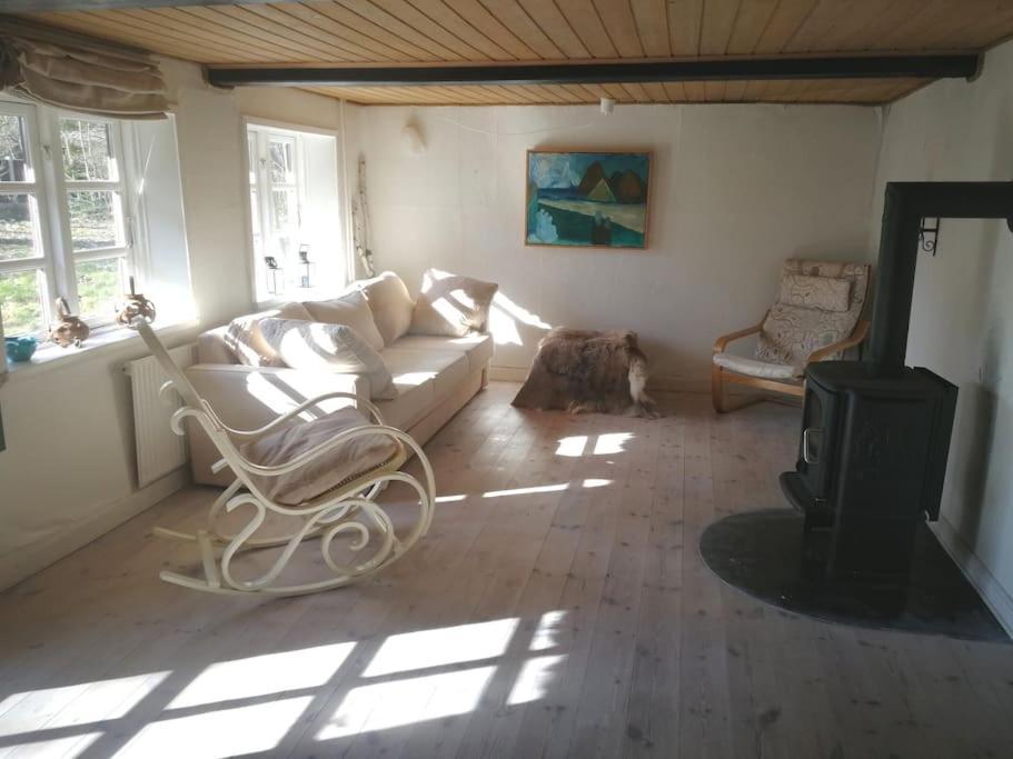 Gemuetliches Reetdachhaus Mit Kaminofen Hostel Ribe Kültér fotó