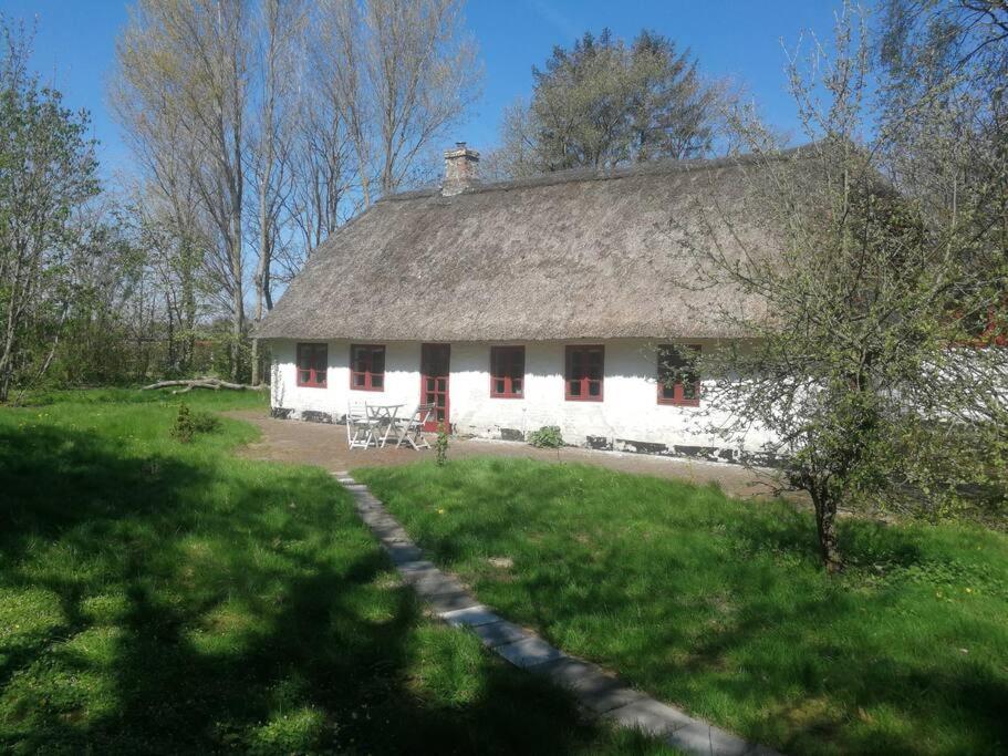 Gemuetliches Reetdachhaus Mit Kaminofen Hostel Ribe Kültér fotó