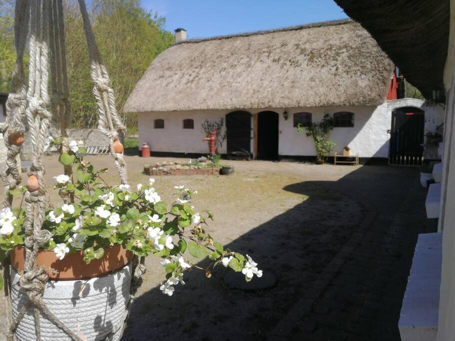 Gemuetliches Reetdachhaus Mit Kaminofen Hostel Ribe Kültér fotó