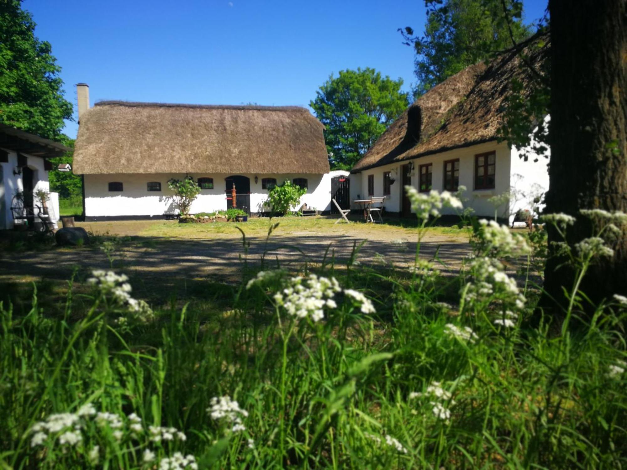Gemuetliches Reetdachhaus Mit Kaminofen Hostel Ribe Kültér fotó